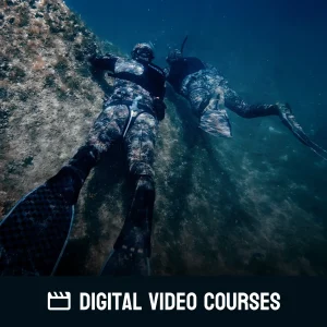 Spearfishing Theory Fundamentals - Online